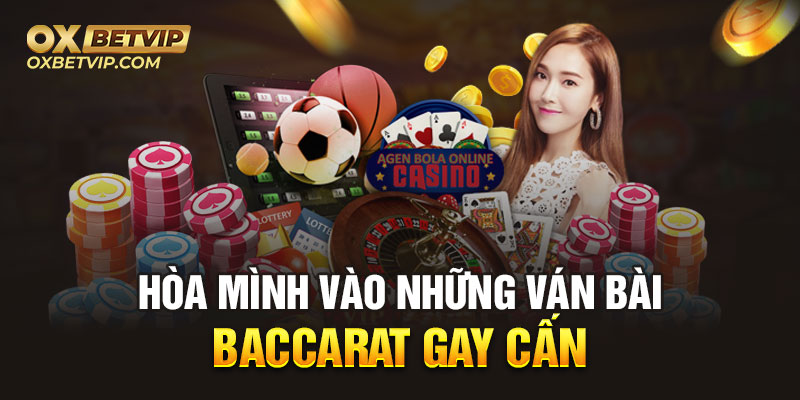 Hòa mình vào những ván bài baccarat gay cấn