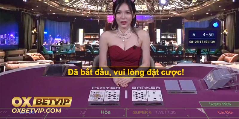 Hướng dẫn cách chơi Baccarat tại Oxbet