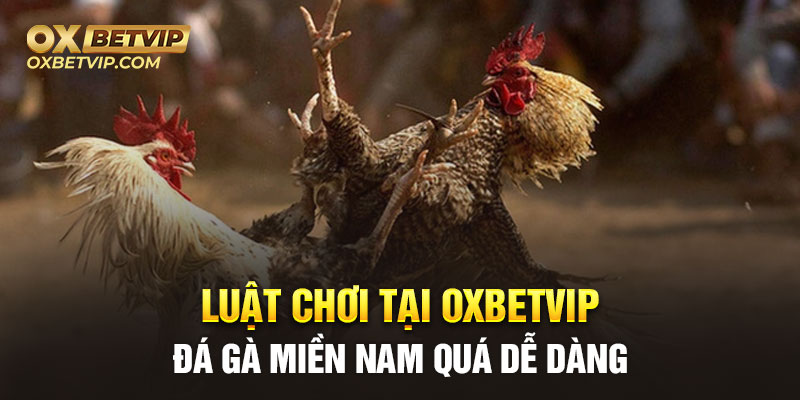 Luật chơi tại Oxbetvip đá gà miền Nam quá dễ dàng