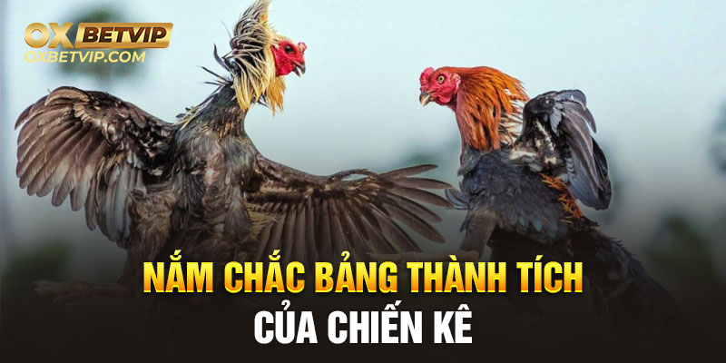 Nắm chắc bảng thành tích của chiến kê