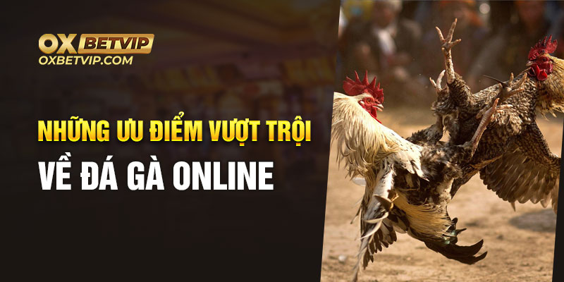 Những ưu điểm vượt trội về đá gà online