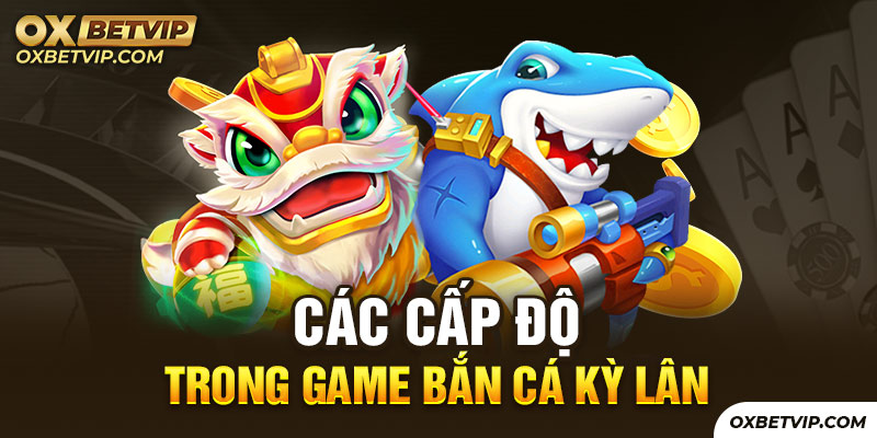 Tổng hợp tất cả các cấp độ trong game Fishing Yilufa