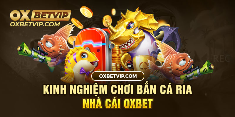 Nên bắn cá nhỏ để tích xu 