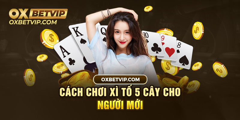 Cách chơi xì tố 5 cây cho người chơi mới