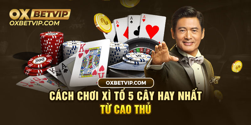 Cách chơi xì tố 5 cây hay nhất từ cao thủ