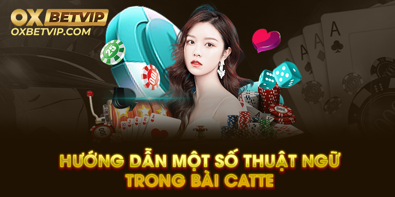 Hướng dẫn một số thuật ngữ trong bài catte