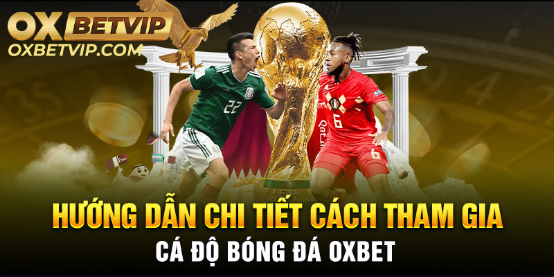 Hướng dẫn chi tiết cách tham gia Cá độ bóng đá Oxbet