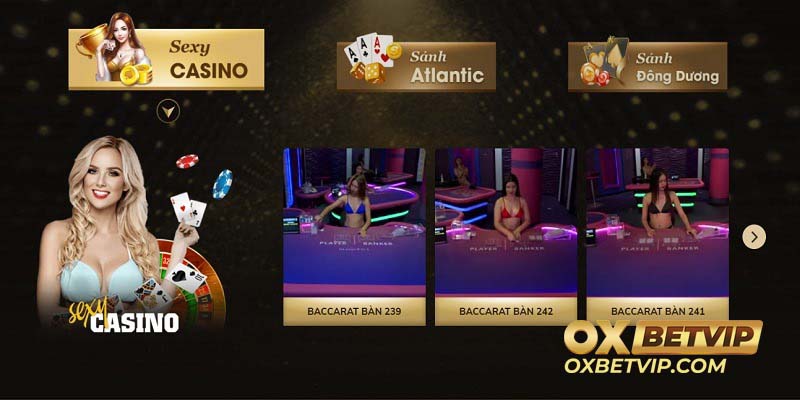 Sòng Bài Oxbet - Casino Đẳng Cấp Đến Từ Dubai