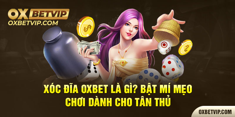 Xóc đĩa Oxbet là gì? Bật Mí Mẹo chơi dành cho tân thủ