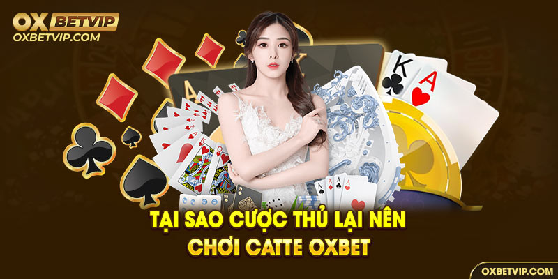 Tại Sao Cược Thủ Lại Nên Chơi Catte OXbet