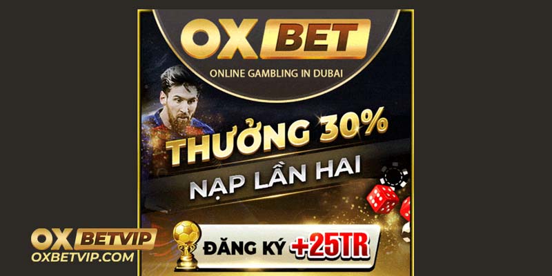 Đặc quyền khi tham gia giao dịch cùng Oxbet